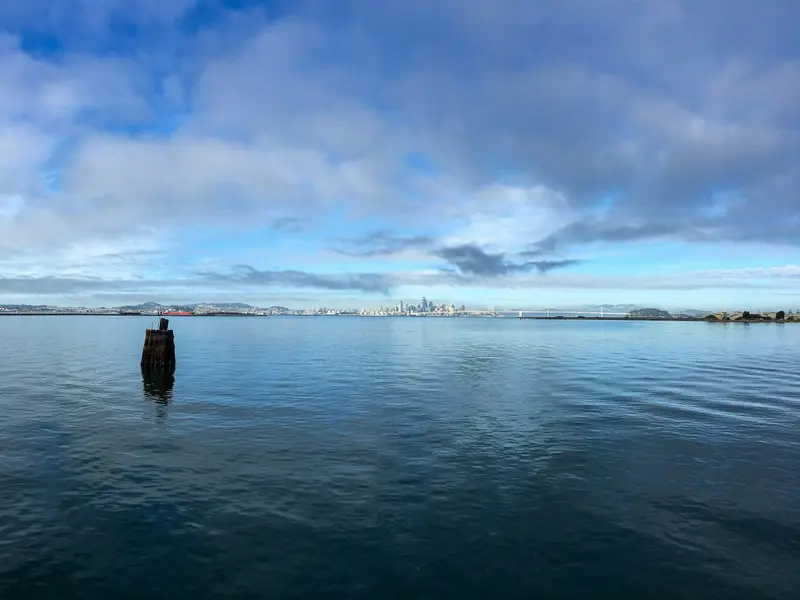 Calm water off Alameda with the San Francisco skyline far across the bay
