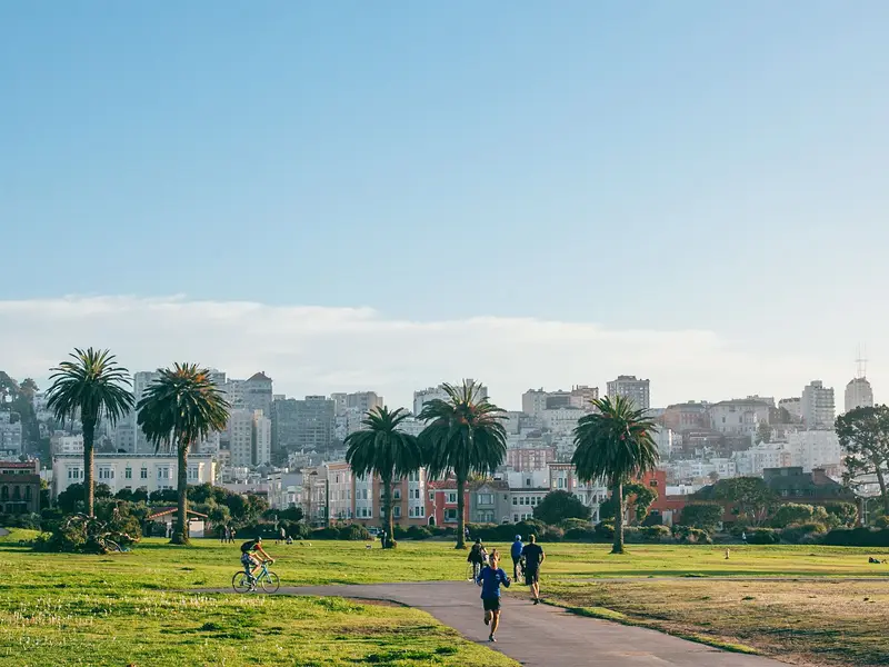 Runners and a cyclist on a park path lined with palm trees